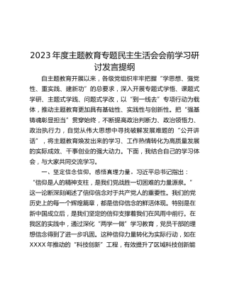 2023年度主题教育专题民主生活会会前学习研讨发言提纲 (5)_2