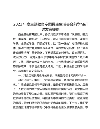 2023年度主题教育专题民主生活会会前学习研讨发言提纲 (4)_2
