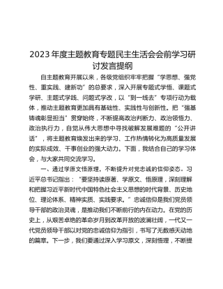 2023年度主题教育专题民主生活会会前学习研讨发言提纲 (2)_2
