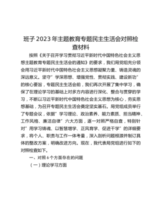 班子2023年主题教育专题民主生活会对照检查材料 (2)_3