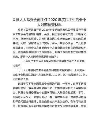 X县人大常委会副主任2020年度民主生活会个人对照检查材料