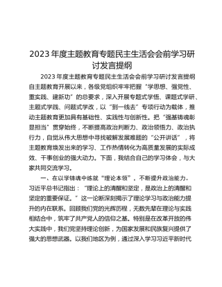 2023年度主题教育专题民主生活会会前学习研讨发言提纲 (6)_2