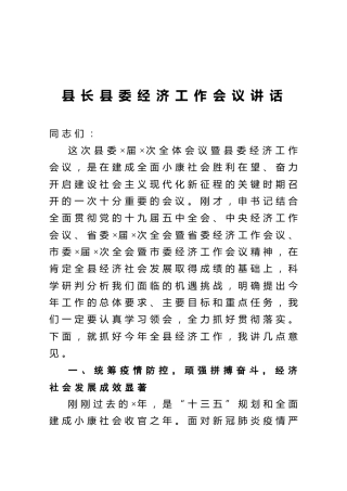 县长县委经济工作会议讲话