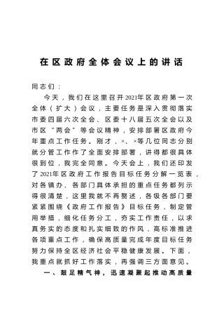 在区政府全体会议上的讲话1