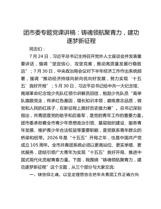 团市委专题党课讲稿：铸魂领航聚青力，建功逐梦新征程