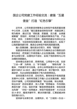 国企公司党建工作经验交流：建强“五星堡垒”打造“红色引擎”
