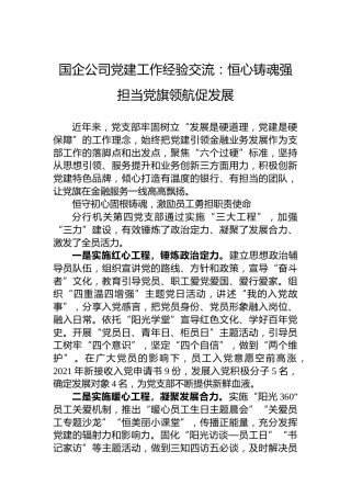 国企公司党建工作经验交流：恒心铸魂强担当党旗领航促发展