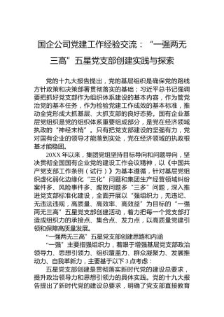 国企公司党建工作经验交流：“一强两无三高”五星党支部创建实践与探索