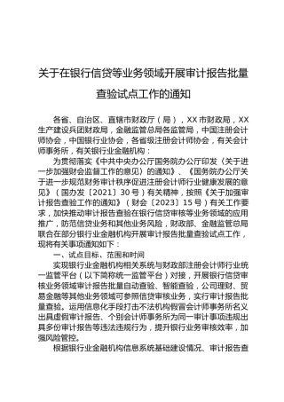 关于在银行信贷等业务领域开展审计报告批量查验试点工作的通知