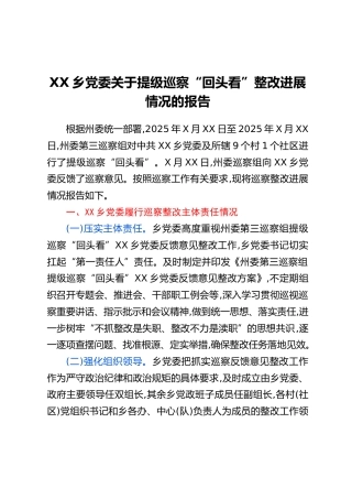 XX乡党委关于提级巡察“回头看” 整改进展情况的报告