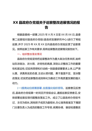 XX县政府办党组关于巡察整改进展情况的报告