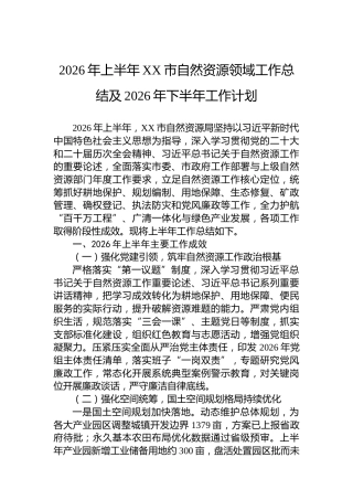 2026年上半年XX市自然资源领域工作总结及2026年下半年工作计划