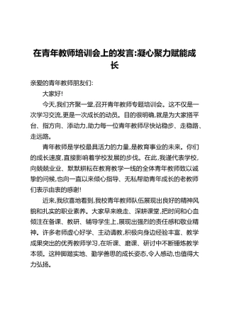 在青年教师培训会上的发言：凝心聚力赋能成长