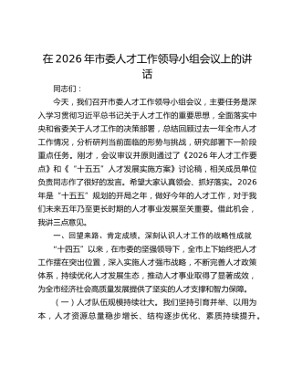 在2026年市委人才工作领导小组会议上的讲话