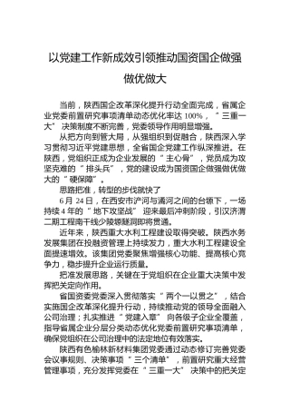 以党建工作新成效引领推动国资国企做强做优做大