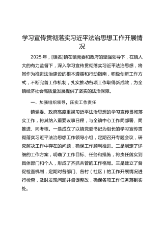 学习宣传贯彻落实习近平法治思想工作开展情况