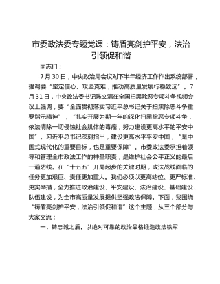 市委政法委专题党课：铸盾亮剑护平安，法治引领促和谐