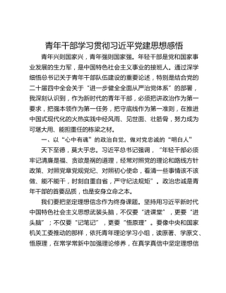 青年干部学习贯彻习近平党建思想感悟