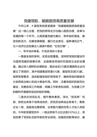 经验材料：党建领航，赋能国资高质量发展