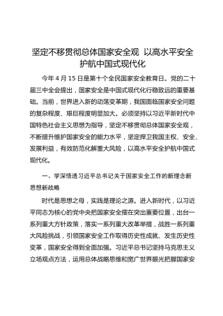 坚定不移贯彻总体国家安全观  以高水平安全护航中国式现代化