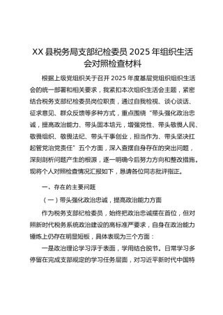 XX县税务局支部纪检委员2025年组织生活会对照检查材料 (1)