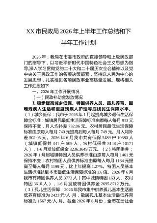 XX市民政局2026年上半年工作总结和下半年工作计划