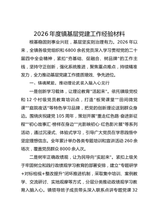 2026年度镇基层党建工作经验材料