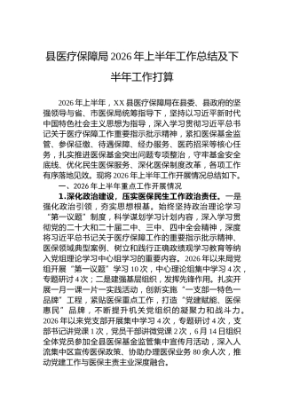 县医疗保障局2026年上半年工作总结及下半年工作打算