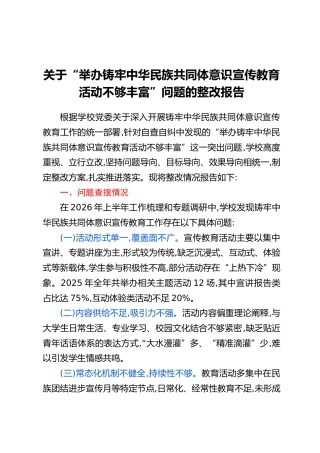 关于“举办铸牢中华民族共同体意识宣传教育活动不够丰富”问题的整改报告