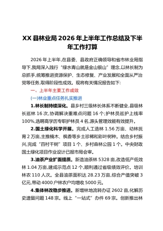 XX县林业局2026年上半年工作总结及 下半年工作打算