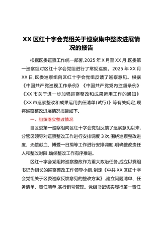 XX区红十字会党组关于巡察集中整改进展情况的报告
