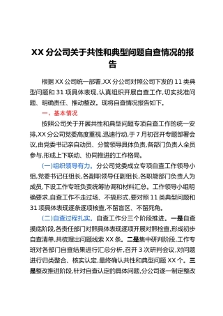 XX分公司关于共性和典型问题自查情况的报告