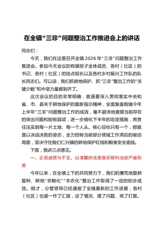 在全镇“三非”问题整治工作推进会上的讲话