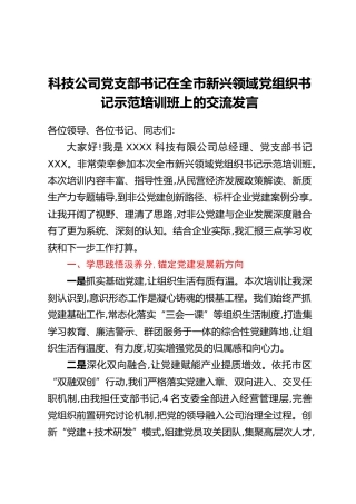 科技公司党支部书记在全市新兴领域党组织书记示范培训班上的交流发言