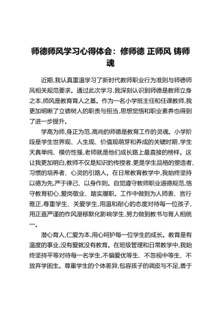 师德师风学习心得体会：修师德 正师风 铸师魂