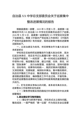 自治县XX中学总支部委员会关于巡察集中整改进展情况的报告