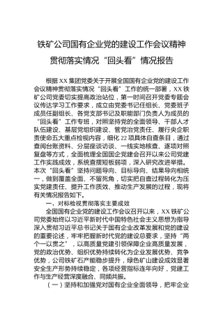 铁矿公司国有企业党的建设工作会议精神贯彻落实情况“回头看”情况报告
