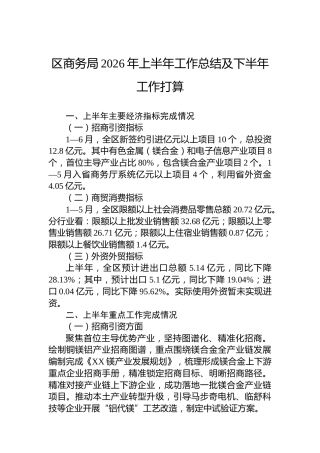 区商务局2026年上半年工作总结及下半年工作打算
