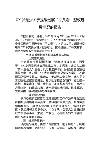 XX乡党委关于提级巡察“回头看”整改进展情况的报告