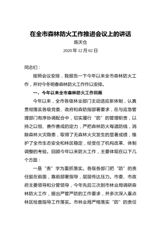 陈天仓：在全市森林防火工作推进会议上的讲话