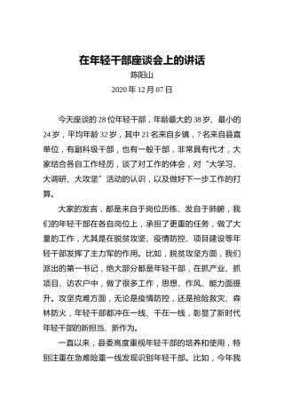 陈阳山：在年轻干部座谈会上的讲话