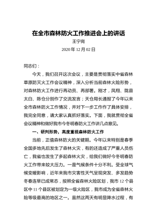 王宁岗：在全市森林防火工作推进会上的讲话