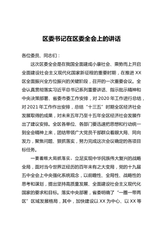 区委书记在区委全会上的讲话