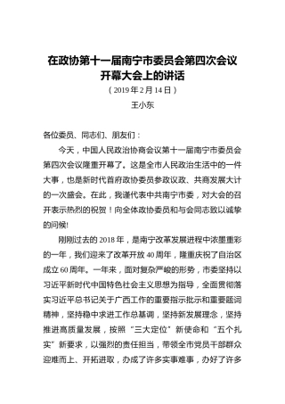 王小东：在政协第十一届南宁市委员会第四次会议开幕大会上的讲话