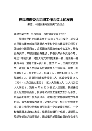 在民盟市委会组织工作会议上的发言