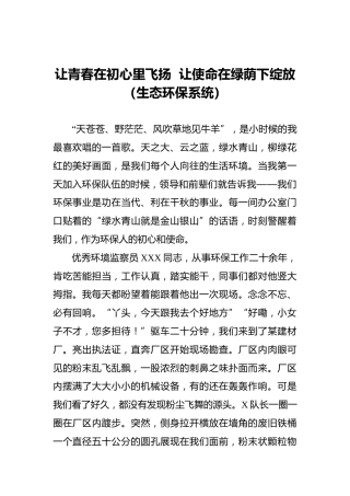 让青春在初心里飞扬让使命在绿荫下绽放（生态环保系统）