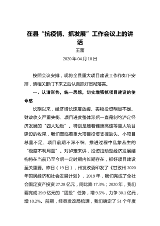 王蕾：在县“抗疫情、抓发展”工作会议上的讲话