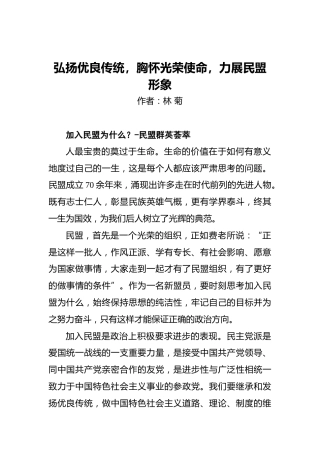 林菊：弘扬优良传统，胸怀光荣使命，力展民盟形象