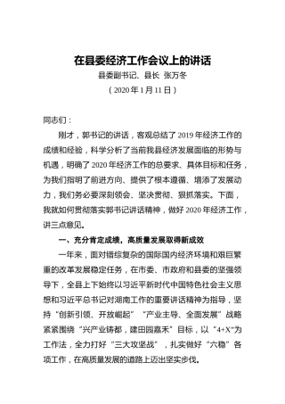 县委副书记、县长在县委经济工作会议上的讲话