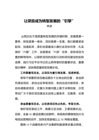 林武：让项目成为转型发展的“引擎”
